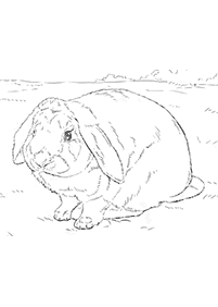 rabbit coloring pages - page 17
