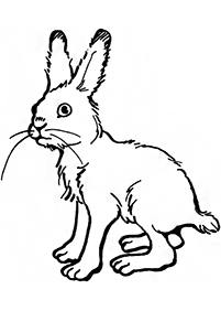 rabbit coloring pages - page 41