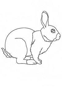 rabbit coloring pages - page 52