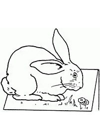 rabbit coloring pages - page 53