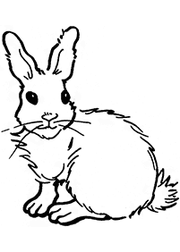 rabbit coloring pages - page 59