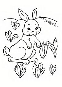 rabbit coloring pages - page 68