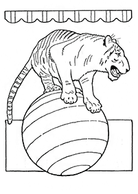 tiger coloring pages - page 42