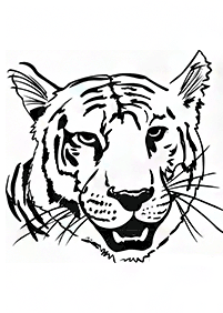 tiger coloring pages - page 44