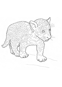 tiger coloring pages - page 45