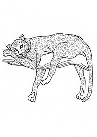 tiger coloring pages - page 59