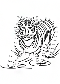 tiger coloring pages - page 60