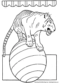 tiger coloring pages - page 80