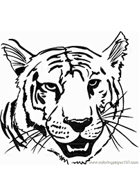 tiger coloring pages - page 83