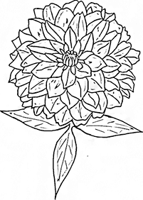 flower coloring pages - page 100