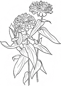 flower coloring pages - page 102