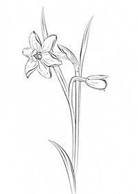 flower coloring pages - page 106