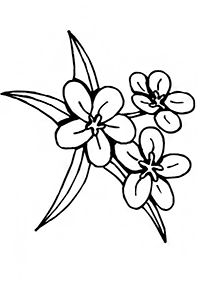flower coloring pages - page 137