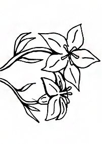 flower coloring pages - page 139