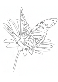 flower coloring pages - page 142