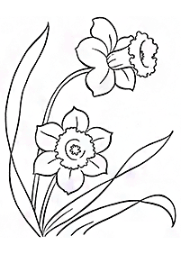 flower coloring pages - page 147