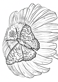 flower coloring pages - page 17