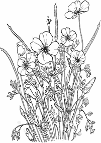 flower coloring pages - page 18