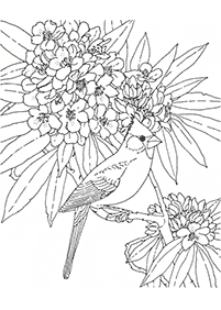 flower coloring pages - Page 29
