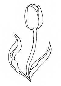 flower coloring pages - page 32