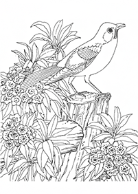 flower coloring pages - page 33