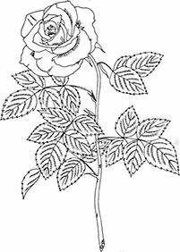 flower coloring pages - page 38