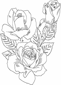 flower coloring pages - page 42
