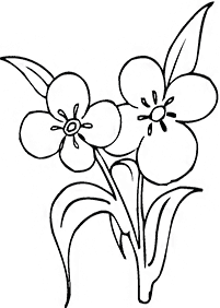 flower coloring pages - page 69