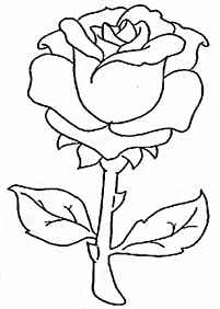 flower coloring pages - page 77