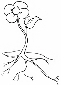 flower coloring pages - page 81