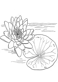 flower coloring pages - page 82