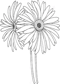 flower coloring pages - page 86