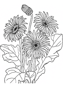 flower coloring pages - page 9