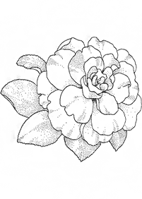 flower coloring pages - page 92