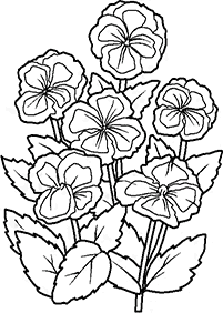 flower coloring pages - page 97