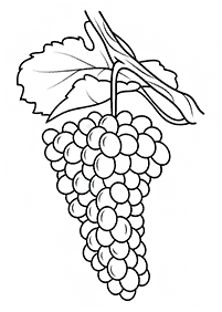 fruit coloring pages - page 13