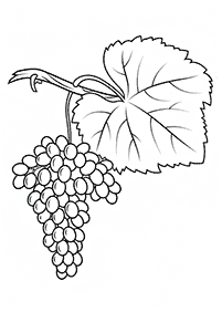 fruit coloring pages - page 14