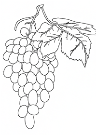 fruit coloring pages - page 15