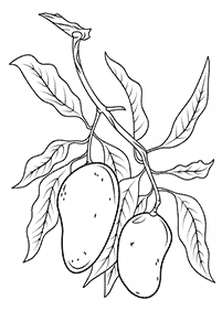 fruit coloring pages - page 32