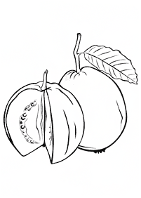 fruit coloring pages - page 74
