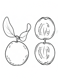 fruit coloring pages - page 75