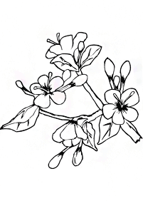 spring coloring pages - page 90
