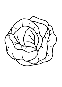vegetable coloring pages - Page 21