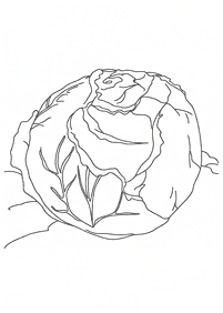vegetable coloring pages - Page 23