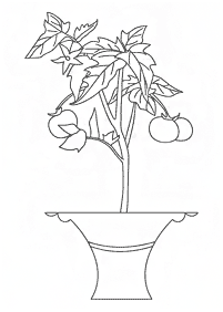 vegetable coloring pages - page 4