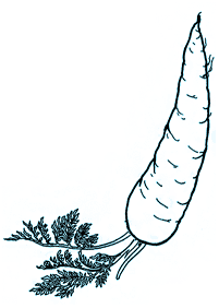 vegetable coloring pages - page 6