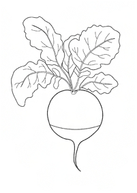 vegetable coloring pages - page 61