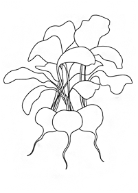 vegetable coloring pages - page 62