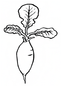 vegetable coloring pages - page 63