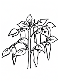 vegetable coloring pages - page 84